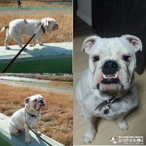 <호미>를 찾습니다.