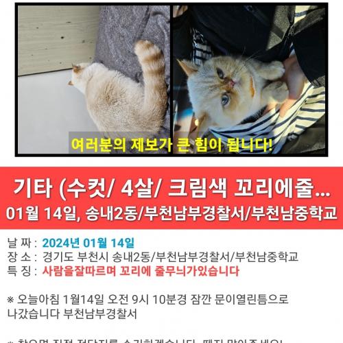 고양이를찾습니다