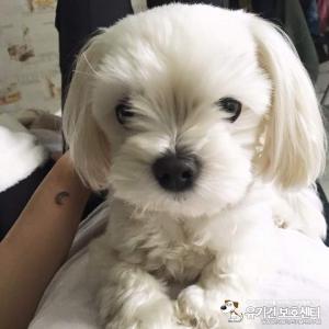 저희 휴를 찾아주세요