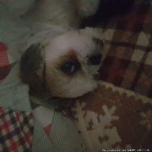 제발 찾아주세요 제발