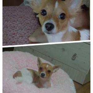 경북 경산시 압량면 부근 두부를 찾습니다.