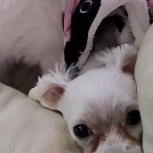 도와주세요 ㅠㅠ