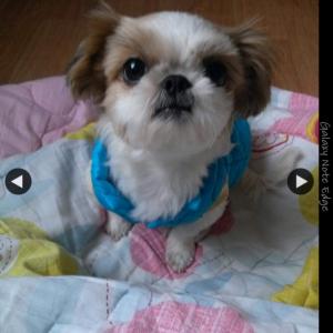 인천 용현3동 시추찾습니다