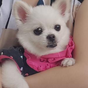 보시면 연락주세요