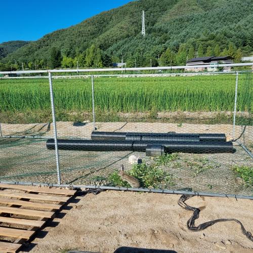 토끼 분양 원해요