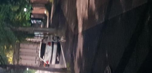 일곡동쌍용아파트 갈색소형강아지 보호중