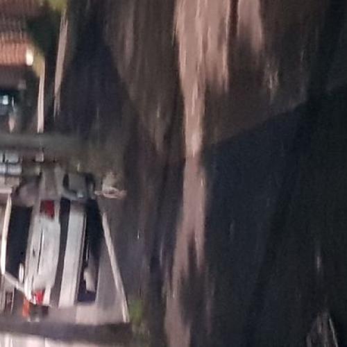 일곡동쌍용아파트 갈색소형강아지 보호중