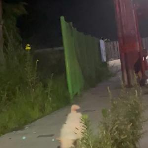 대구 학정역효성해링턴플레이스 근처