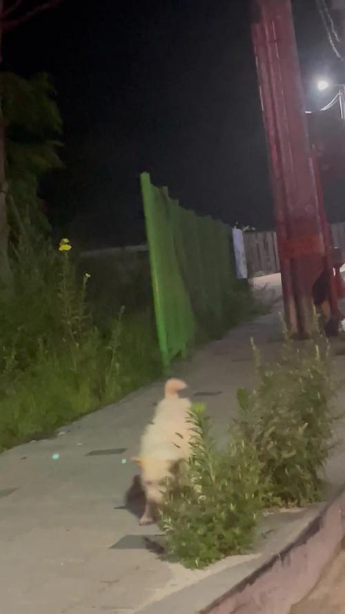 대구 학정역효성해링턴플레이스 근처