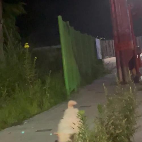 대구 학정역효성해링턴플레이스 근처