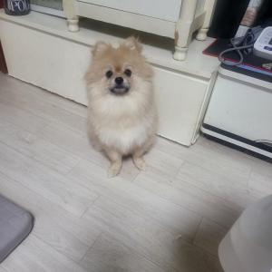 제발 찾아주세요 ㅠ