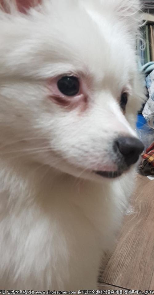 경기도 양주시 보호중입니다