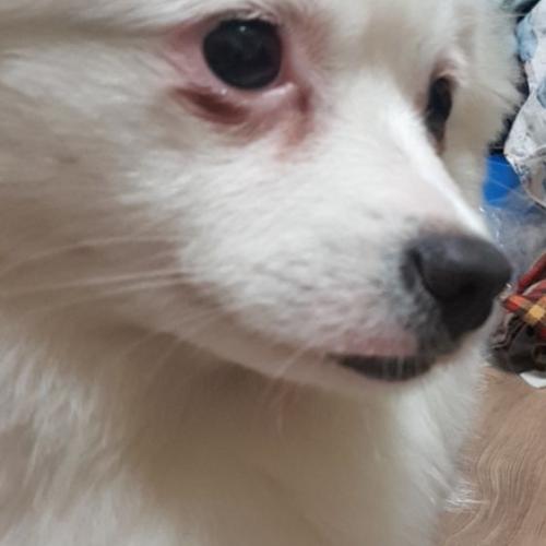 경기도 양주시 보호중입니다