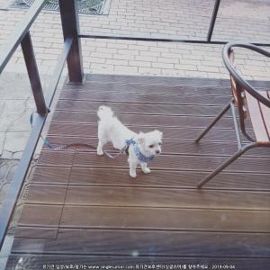 애타게 찾습니다