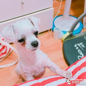 인천 왕길동 보석이 찾습니다