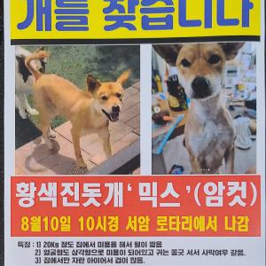 김포 진도믹스 찾아요