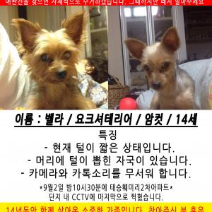 꼭 찾고 싶습니다... 도와주세요