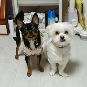 애들좀 찾아주세요