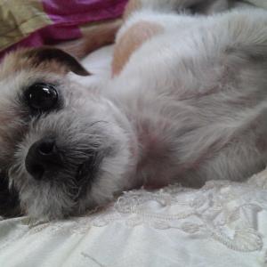 우리뚱이를찾아요