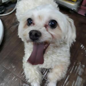 중구 동호로 에서 아이를 찿습니다