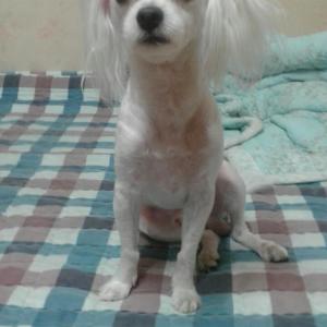 뽀롱이 찾았습니다^^