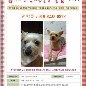 [사례필]서울 신림동 요크셔 찾아요