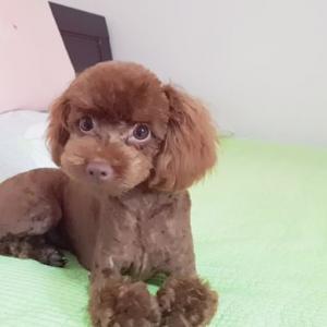 우리딸 별이찾았습니다