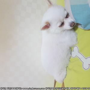 오이도에서 12월13일 밤에 없어졌어요ㅜㅜ