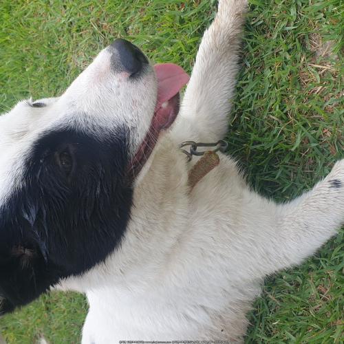 서귀포 칠십리공원에서