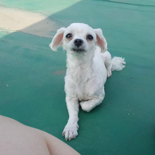 우리 아이를 찾아주세요