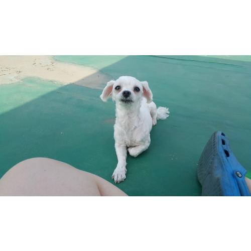 우리 아이를 찾아주세요