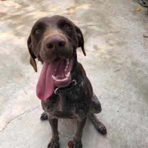 포인터 찾습니다