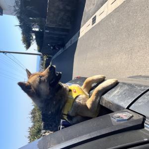 서귀포시 추억의 숲길에서 잃어버렸습니다ㅠㅠㅠㅠ