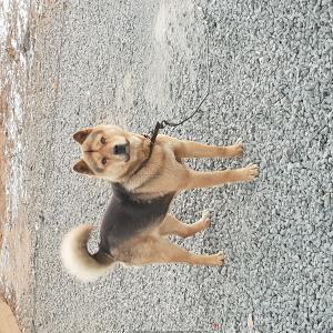 진구 보신분 꼭 연락주세요