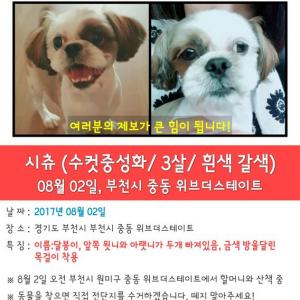 부천시 중동 위브더스테이트에서 실종됐어요ㅠ