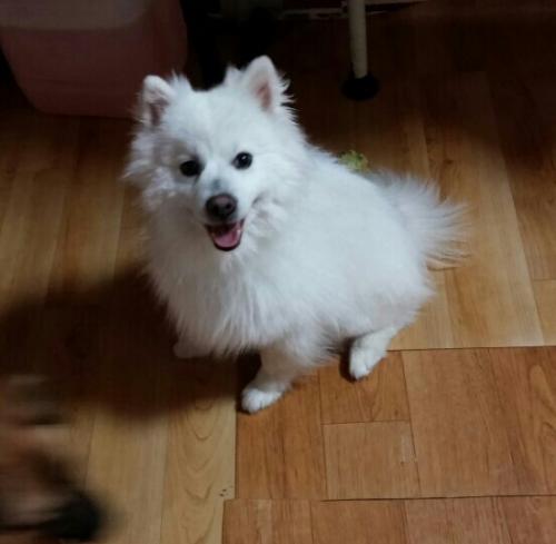 부산  가야 주인찾아요