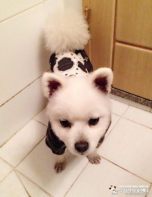 서울시 동대문구 이문동 외대앞