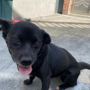 가족을 찾습니다