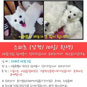 아이들을찾고있습니다