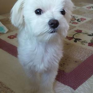 (서울 가양동)궁산근린공원