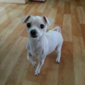 부산 북구 덕천/화명 복이 찾아주세요