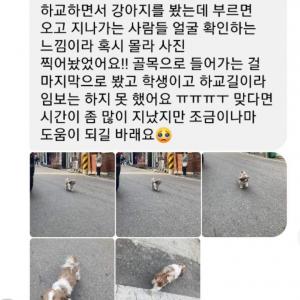 찾아주세요