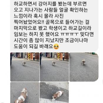 찾아주세요