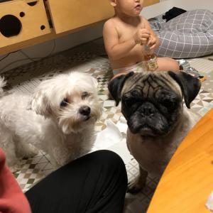 용담일동찾아요