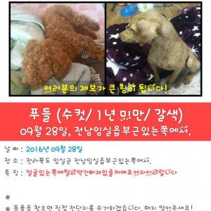 임실읍 에있는 산골짜기 부근에서.