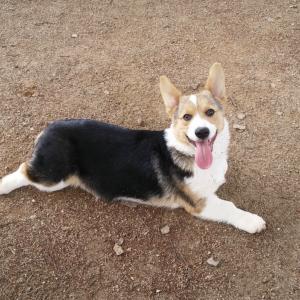 계곡 해남 몇년 되었지만 잊어버린 보리 찾아요..