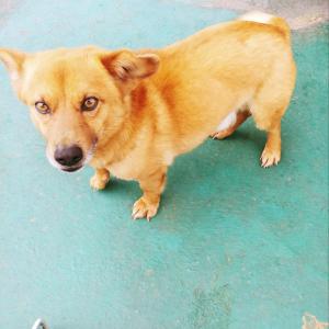 하트를 애타게 찾습니다