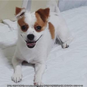 하남시 '콩이'를 찾아주세요.