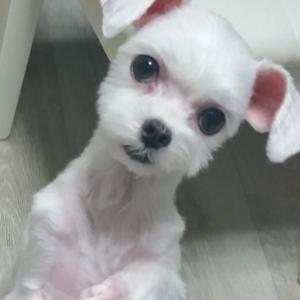 단비좀 찾아주세요