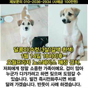 제발 관심갖고 도와주세요..